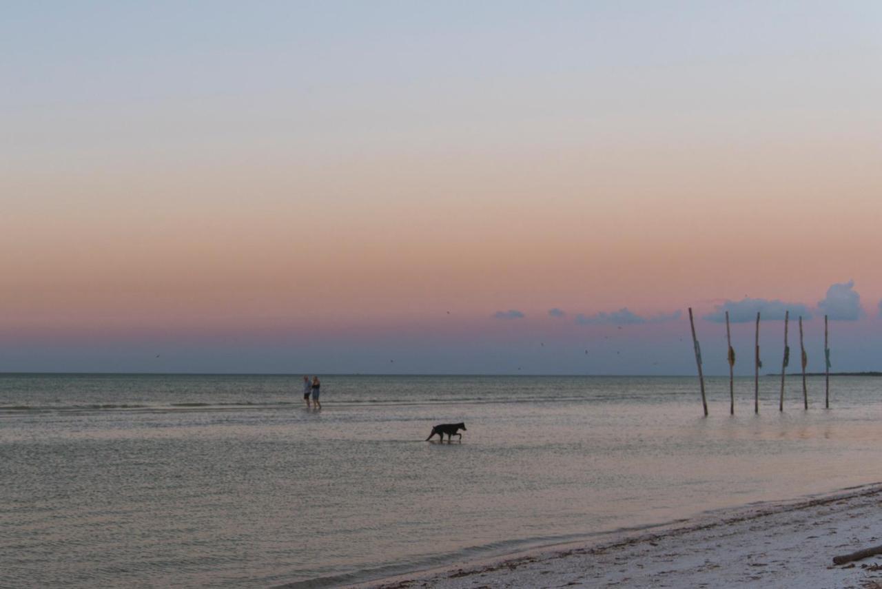 Blue Holbox Otel Dış mekan fotoğraf